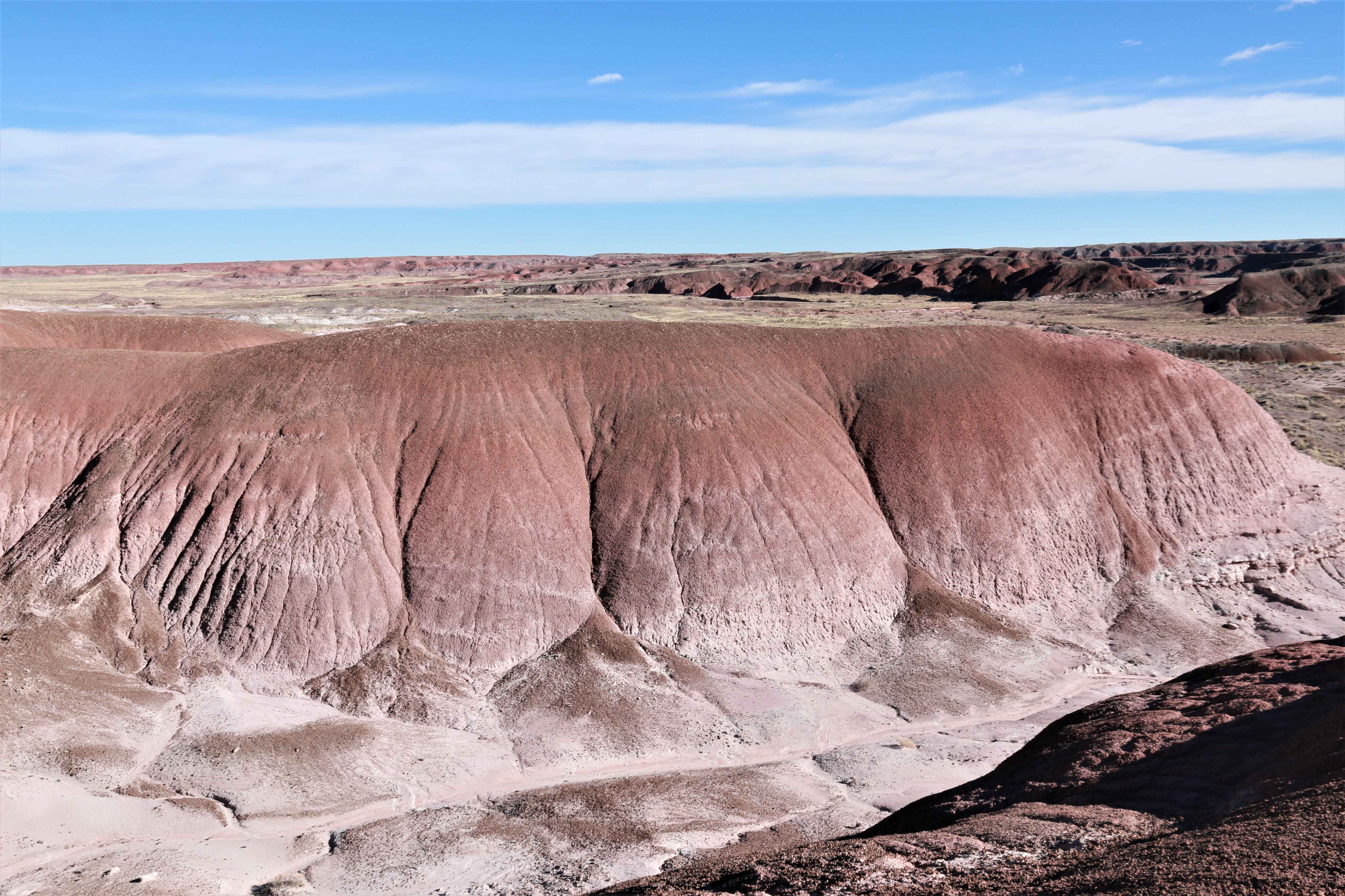 Petrified Forest NP